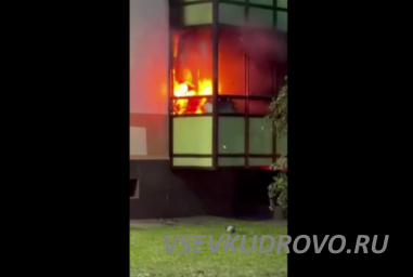 В Кудрово ярко, но недолго, горела квартира-студия