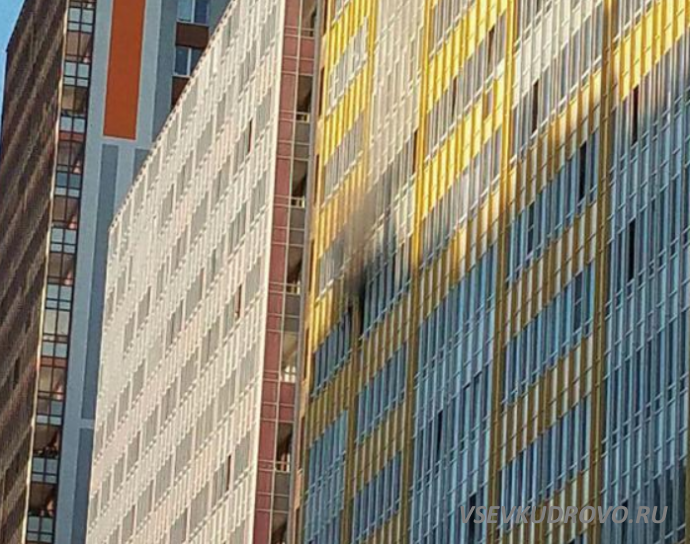 На Европейском проспекте в Кудрово сгорел балкон и кухня На Европейском проспекте в Кудрово сгорел балкон и кухня