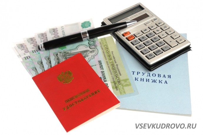 Что будет с пенсией в 2019 году? Что будет с пенсией в 2019 году?