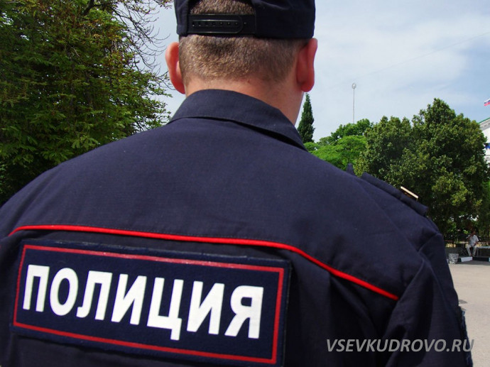 В Кудрово построят отделение полиции на 75 человек через год В Кудрово построят отделение полиции на 75 человек через год