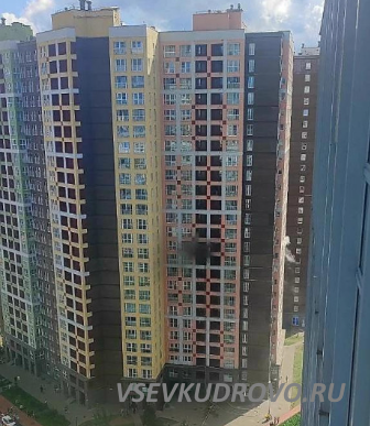 Из горящей многоэтажки в Кудрово спасатели эвакуировали 20 человек