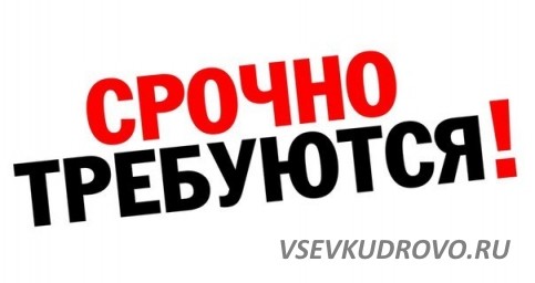 Транспортная торговля ведёт дополнительный набор продавцов на летний период.