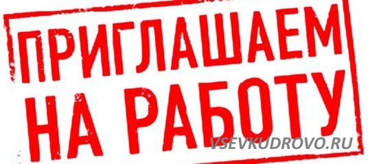 Срочно требуются на постоянную работу в ГБУ ЛО "Центр Молодежный" Срочно требуются на постоянную работу в ГБУ ЛО "Центр Молодежный"