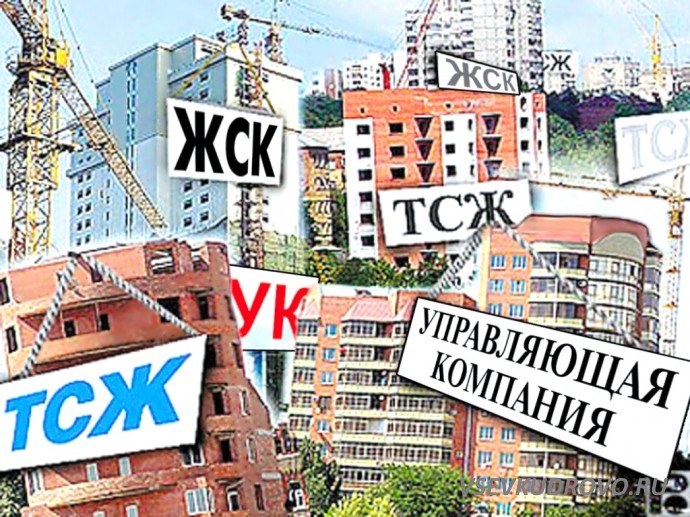 Жители Кудрово записали видеообращение к Путину. Жители Кудрово записали видеообращение к Путину.