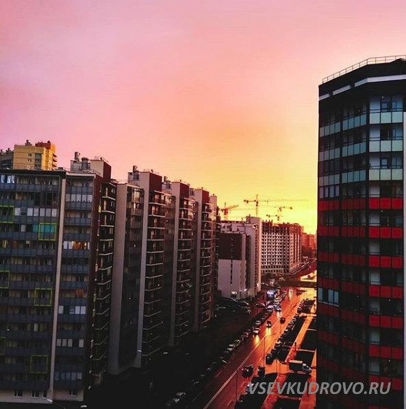 «Резиновое» Кудрово «Резиновое» Кудрово