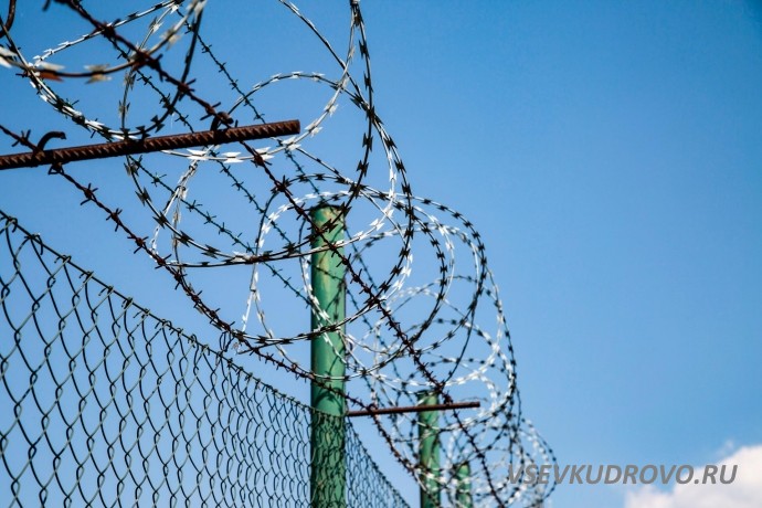 За убийство в Кудрово подсудимым дали 30 лет на двоих. За убийство в Кудрово подсудимым дали 30 лет на двоих.