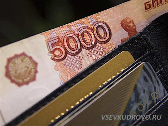 Жители Кудрово и Мурино ощущают себя самыми богатыми россиянами Жители Кудрово и Мурино ощущают себя самыми богатыми россиянами