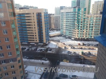 Сдам однокомнатную квартиру по адресу Европейский пр. д14, к 4