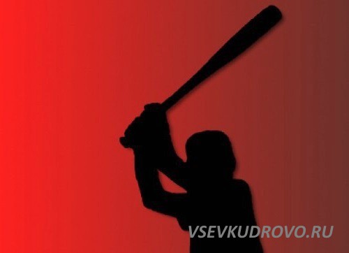 В Кудрово прохожим обещают разбить головы битой. В Кудрово прохожим обещают разбить головы битой.