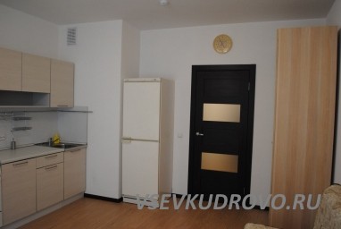 Сдается квартира-студия на длительный срок по адресу: Кудрово, ул. Столичная, д.4, Сдается квартира-студия на длительный срок по адресу: Кудрово, ул. Столичная, д.4,