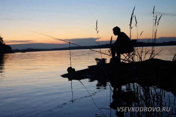 В Кудрово застрелен мигрант. В Кудрово застрелен мигрант.