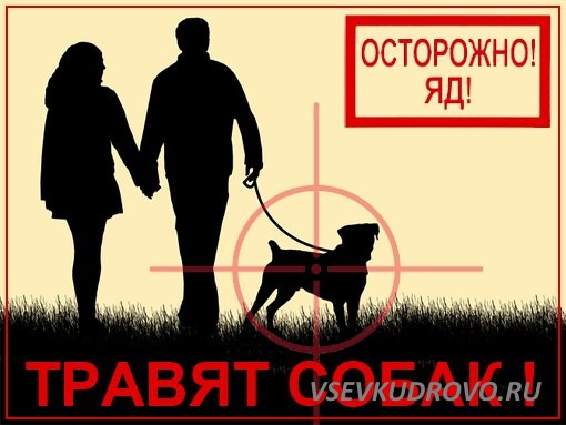 Догхантеры атакуют. В Кудрово желают смерти собакам. Догхантеры атакуют. В Кудрово желают смерти собакам.