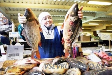 СРОЧНО Требуется ПРОДАВЕЦ в рыбный магазин Всеволожска ( микрорайон Южный) СРОЧНО Требуется ПРОДАВЕЦ в рыбный магазин Всеволожска ( микрорайон Южный)