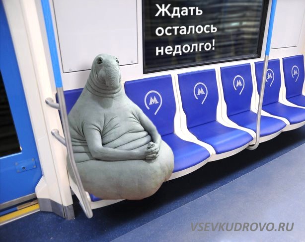 Проект метро в Кудрово - миссия на 44 миллиона. Проект метро в Кудрово - миссия на 44 миллиона.