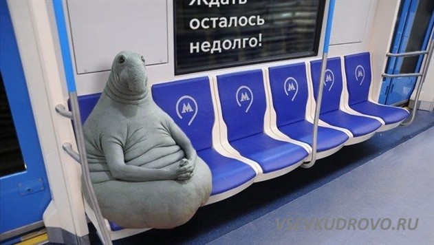 КУДРОВО ПОДОЖДЁТ. МЕТРО НУЖНЕЕ ПЕТЕРБУРГУ. КУДРОВО ПОДОЖДЁТ. МЕТРО НУЖНЕЕ ПЕТЕРБУРГУ.