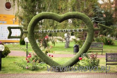 Требуется флорист в цветочный салон Megaflowers Требуется флорист в цветочный салон Megaflowers