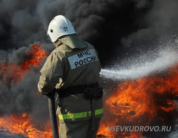 В Кудрово сгорел ещё один автомобиль. В Кудрово сгорел ещё один автомобиль.