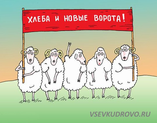 Александр Дрозденко: "Не сметь меня критиковать!" Александр Дрозденко: "Не сметь меня критиковать!"