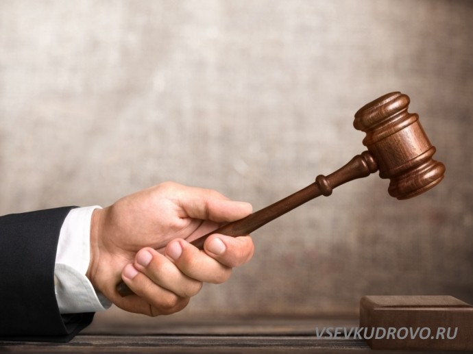 Участки мировых судей появятся в Мурино и Кудрово Участки мировых судей появятся в Мурино и Кудрово