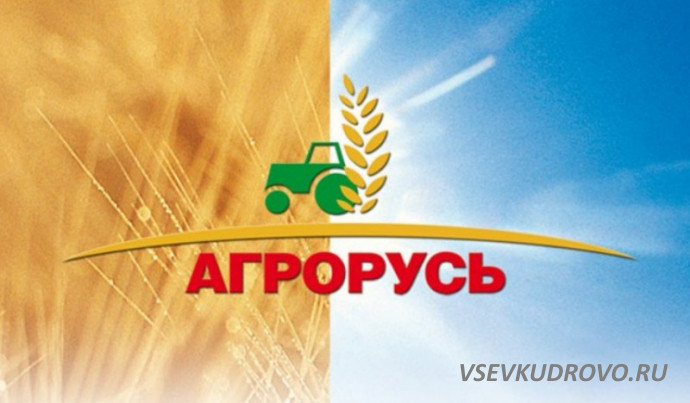 Ярмарка фермерской продукции «Агрорусь – 2019» Ярмарка фермерской продукции «Агрорусь – 2019»