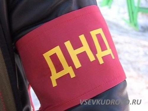 Итоги рейдов ДНД по Кудрово и Янино 1 Итоги рейдов ДНД по Кудрово и Янино 1