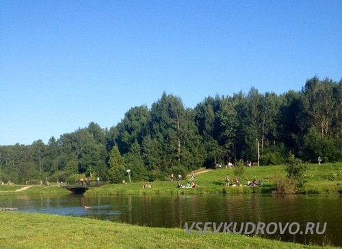 Депутаты поддержали застройку парка Оккервиль в Кудрово. Депутаты поддержали застройку парка Оккервиль в Кудрово.