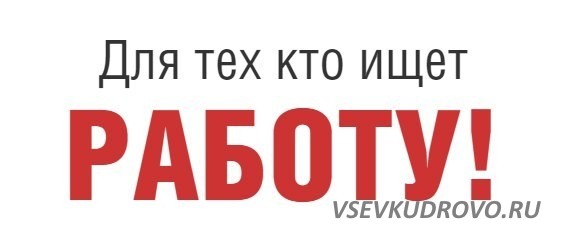 Крупная сеть супермаркетов приглашает на работу в Колтуши Крупная сеть супермаркетов приглашает на работу в Колтуши