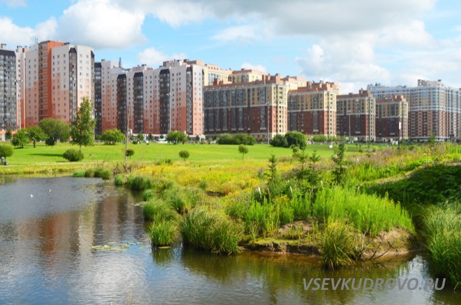 КУДРОВО ГОТОВИТСЯ К ЗИМЕ КУДРОВО ГОТОВИТСЯ К ЗИМЕ