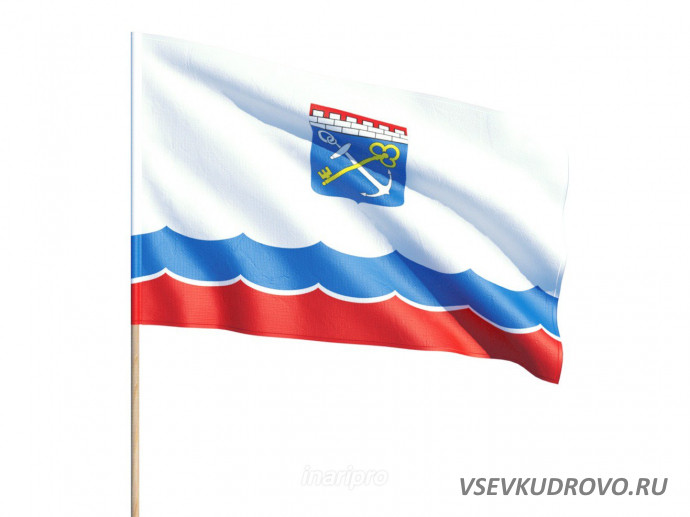 Ленинградская область запускает программу поддержки районных участковых Ленинградская область запускает программу поддержки районных участковых