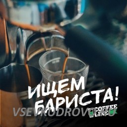 Компания Coffee Like ищет бариста.