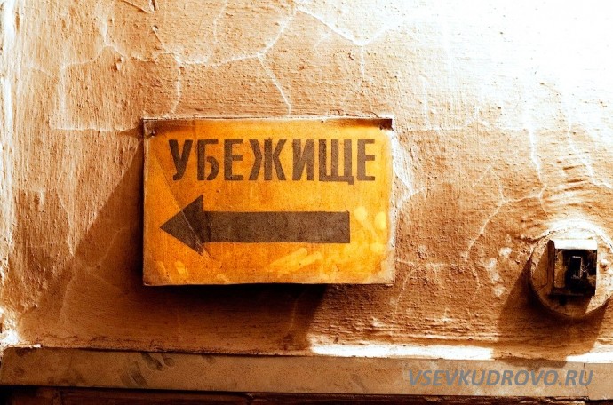 Добежал до машины