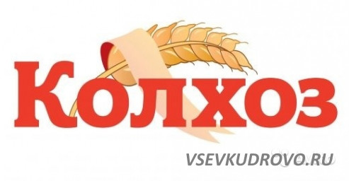 В магазин фермерских продуктов "Колхоз" требуются продавцы-кассиры в отдел гастроном . В магазин фермерских продуктов "Колхоз" требуются продавцы-кассиры в отдел гастроном .