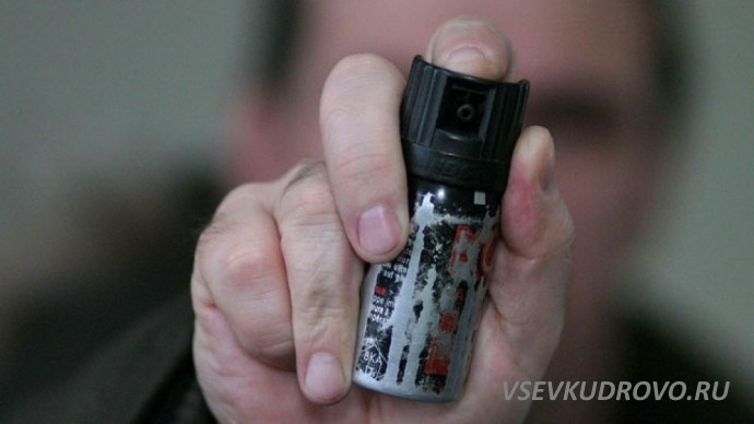 Борцу за справедливость в Мурино распылили перцовый баллончик в лицо. Борцу за справедливость в Мурино распылили перцовый баллончик в лицо.