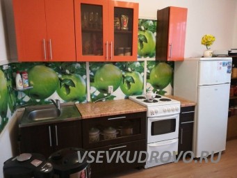 Сдам однокомнатную квартиру в Кудрово, Европейский проспект, дом 8