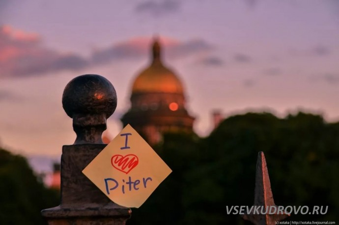 Кудровцы рвутся в Петербург Кудровцы рвутся в Петербург