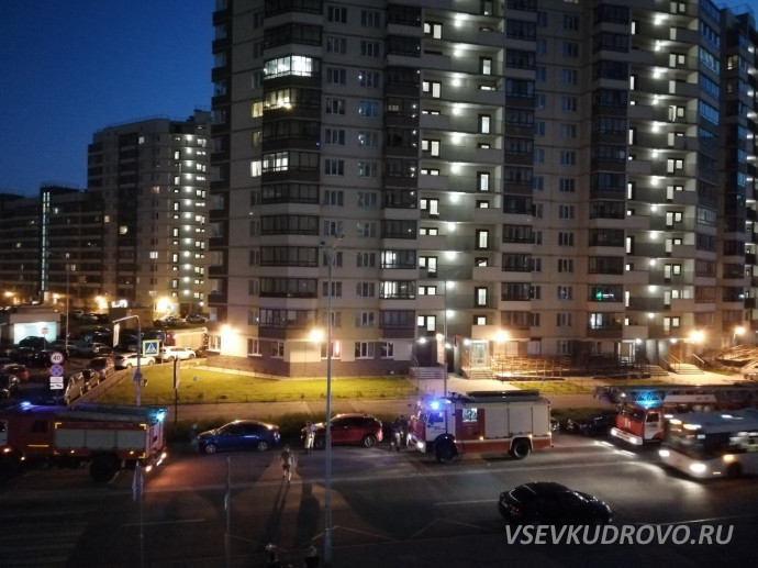 В Кудрово из-за горящего мусора ночью эвакуировали жилой дом В Кудрово из-за горящего мусора ночью эвакуировали жилой дом