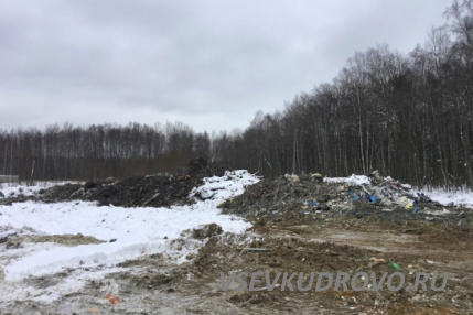 Кудровскую свалку ликвидировали. Кудровскую свалку ликвидировали.