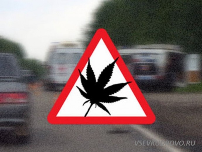 В Кудрово наркоман занялся с автомобилем сексом. В Кудрово наркоман занялся с автомобилем сексом.