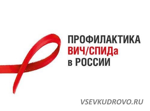 28 июня в Кудрово приедет передвижная врачебная амбулатория. 28 июня в Кудрово приедет передвижная врачебная амбулатория.