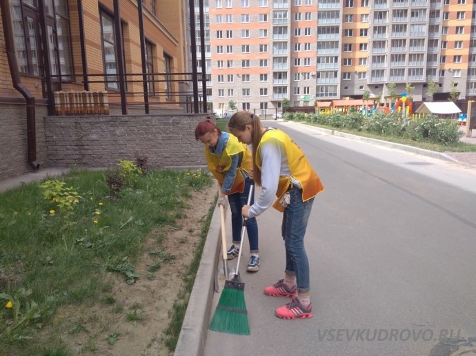 Школьники Кудрово потрудились на славу. Школьники Кудрово потрудились на славу.