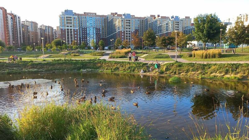 Детская площадка в парке «Оккервиль» в Кудрово на финальной стадии строительства (2026) Детская площадка в парке «Оккервиль» в Кудрово на финальной стадии строительства (2026)
