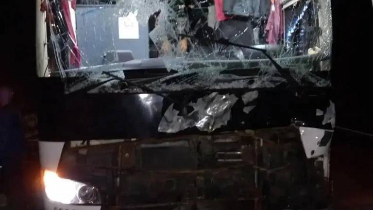 Рейсовый автобус с 15 пассажирами сбил лося у Доможирово в Лодейнопольском районе (2026)