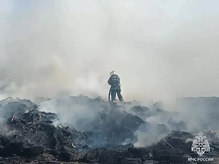 Взрыв газового баллона и пожар на несанкционированной свалке в Колтушах (2026)