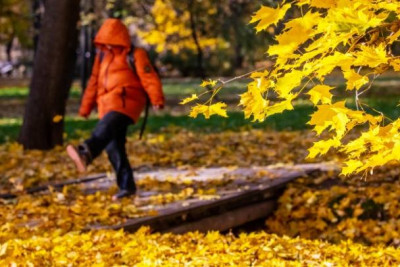 Бабье лето вернулось в Ленинградскую область: как долго продержится тепло