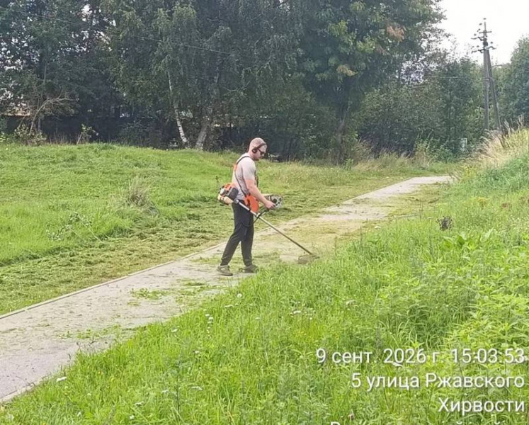 Еженедельный отчёт по уборке Заневского поселения: 64 дворника и 28 единиц техники (2026)
