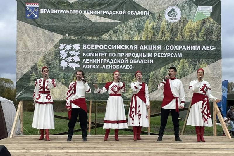 В Ленобласти высадили 266,77 тысячи хвойных сеянцев (2026)