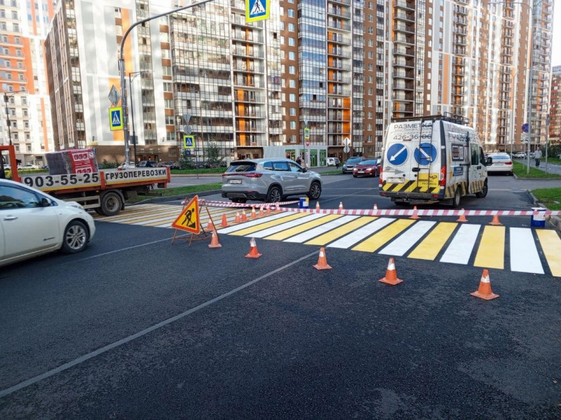 В Заневском поселении заработали пять световых пешеходных переходов